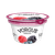 yorgus-polpa-ao-fundo-frutas-silvestres-130g.png