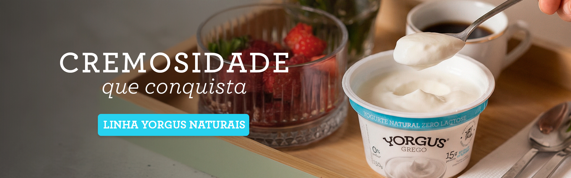 banner principal 2 - desk - yorgus