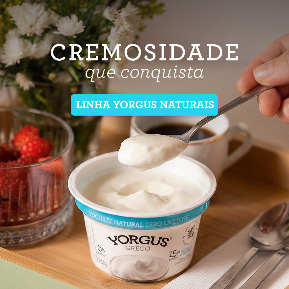 banner principal 2 - mob - yorgus