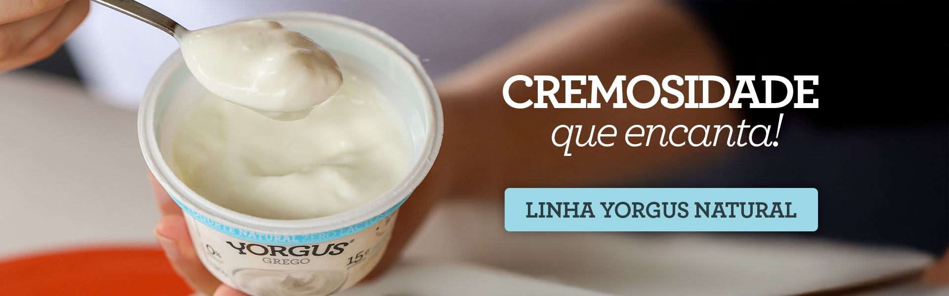 banner principal 2 - desk - yorgus