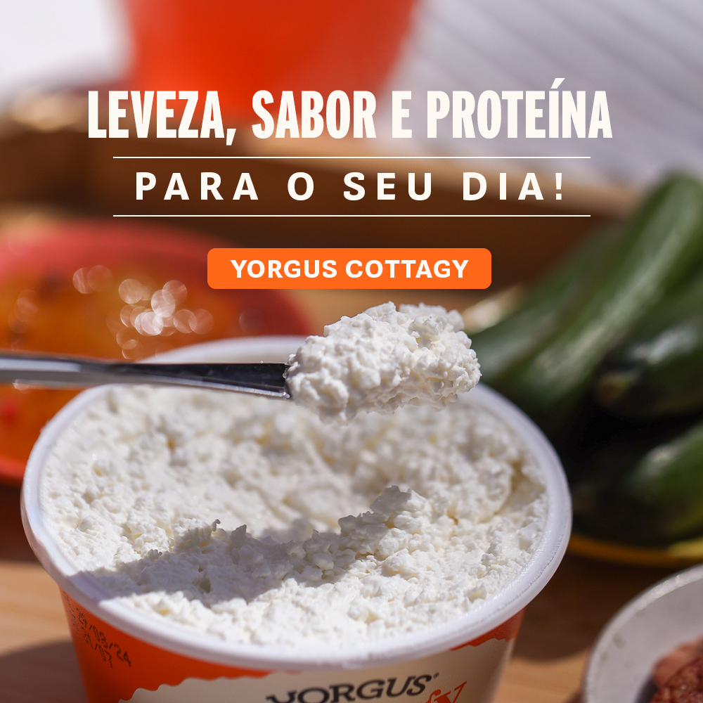 banner principal 2 - mob - yorgus